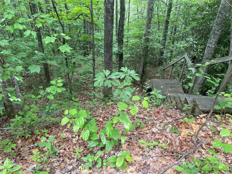 Property image 2 of Lt 279 Cabin Flats Road in Balsam Mountain Preserve, Balsam, NC 28707