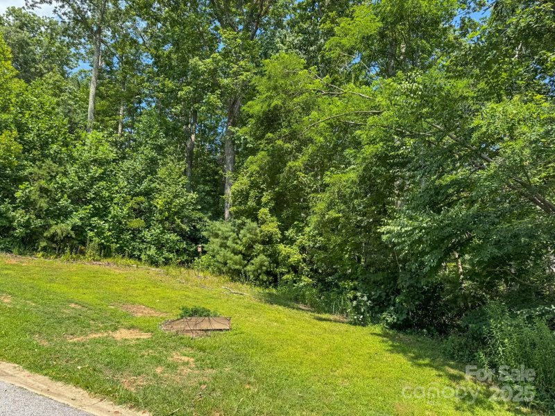 Property image 3 of 195 Carriage Crest Drive in Carriage Park, Hendersonville, NC 28791