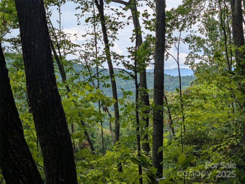 Property image 2 of 99999 Running Deer Lane in Mountain Park, Mars Hill, NC 28754