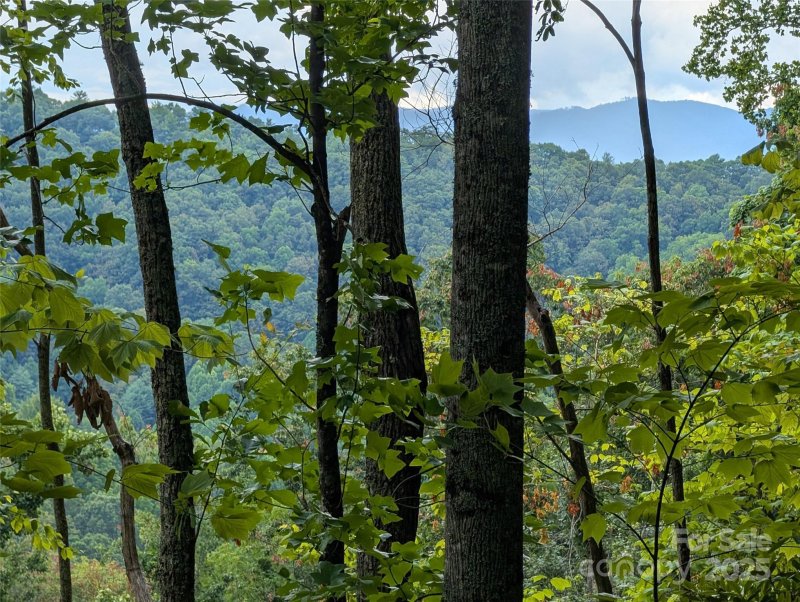 Property image 3 of 99999 Running Deer Lane in Mountain Park, Mars Hill, NC 28754