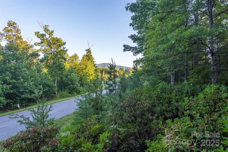 Property image 2 of Tbd Ridge Point Road in The Peninsula at Lake James, Nebo, NC 28761