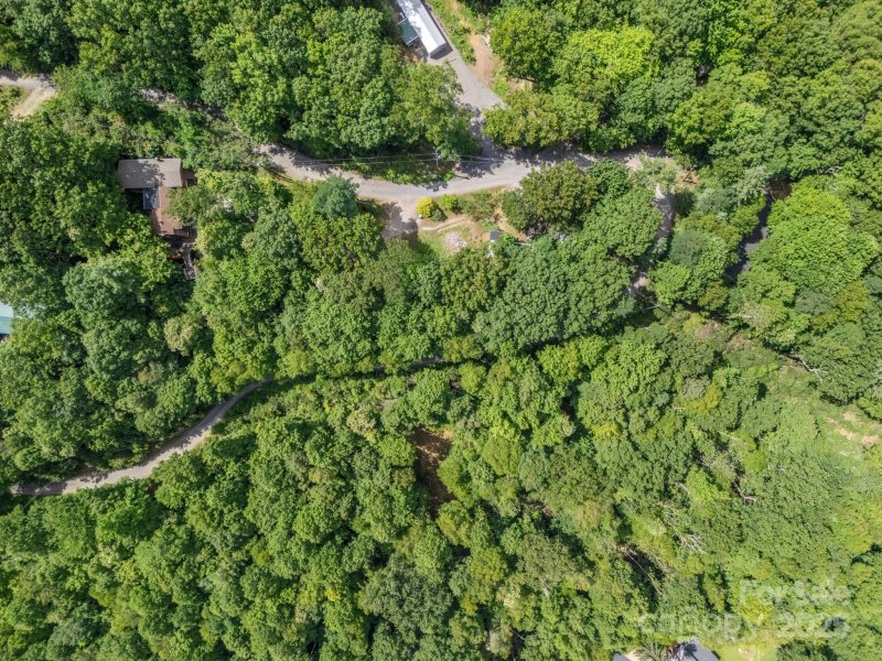 Property image 3 of 150 Marcellina Drive in Fairview Forest Estates, Fairview, NC 28730