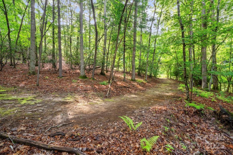 Property image 5 of 52 Dividing Ridge Trail in The Cliffs At Walnut Cove, Arden, NC 28704