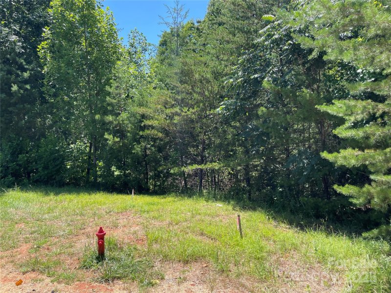 Property image 2 at 00 Jamesfield Drive, Rutherfordton, NC 28139