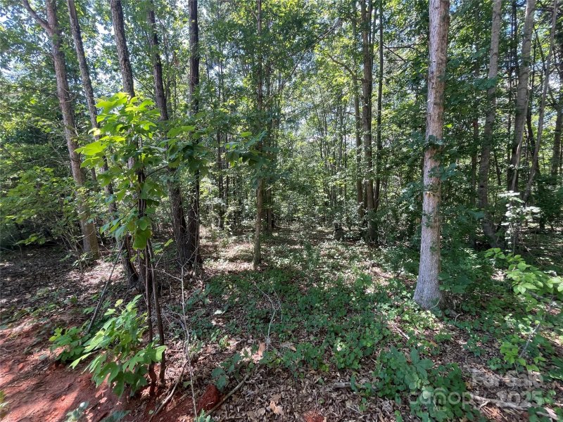 Property image 4 at 00 Jamesfield Drive, Rutherfordton, NC 28139