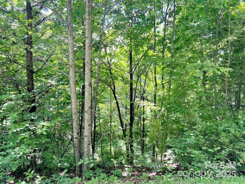 Property image 2 of 521 Signal Ridge in Beechwood, Sylva, NC 28779