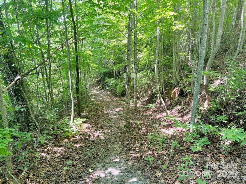 Property image 3 of 521 Signal Ridge in Beechwood, Sylva, NC 28779