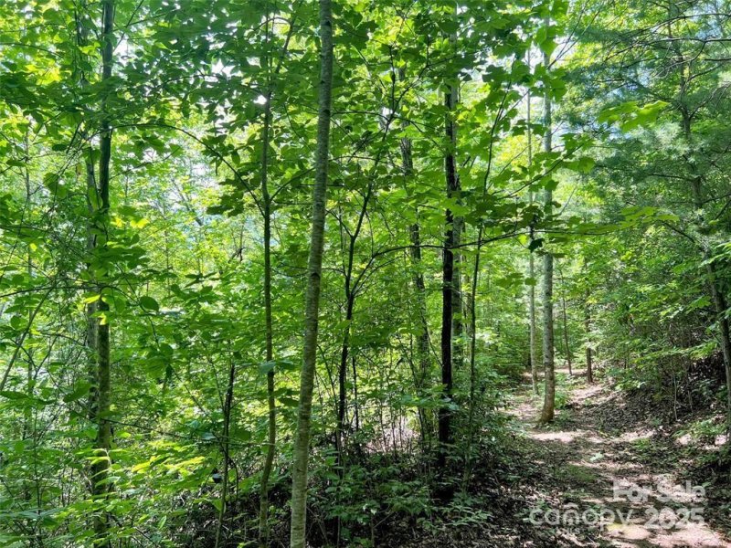 Property image 4 of 521 Signal Ridge in Beechwood, Sylva, NC 28779