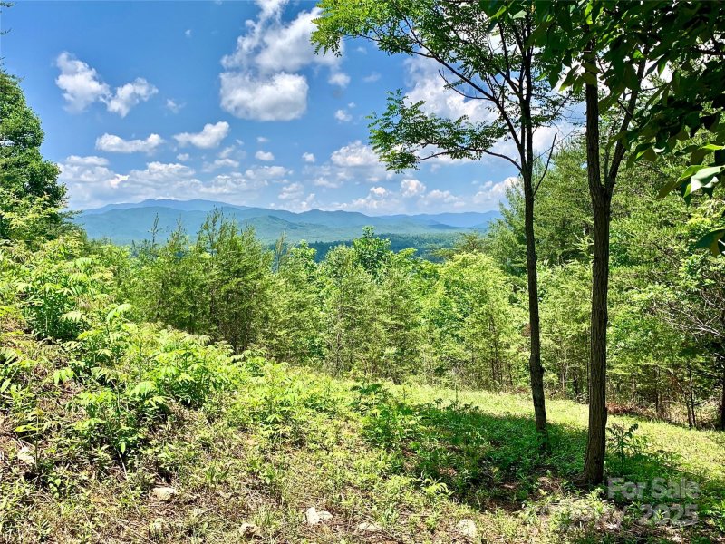 Property image 2 at 1 78 Acres Lot 163 1879 Johns Ridge Parkway, Lenoir, NC 28645