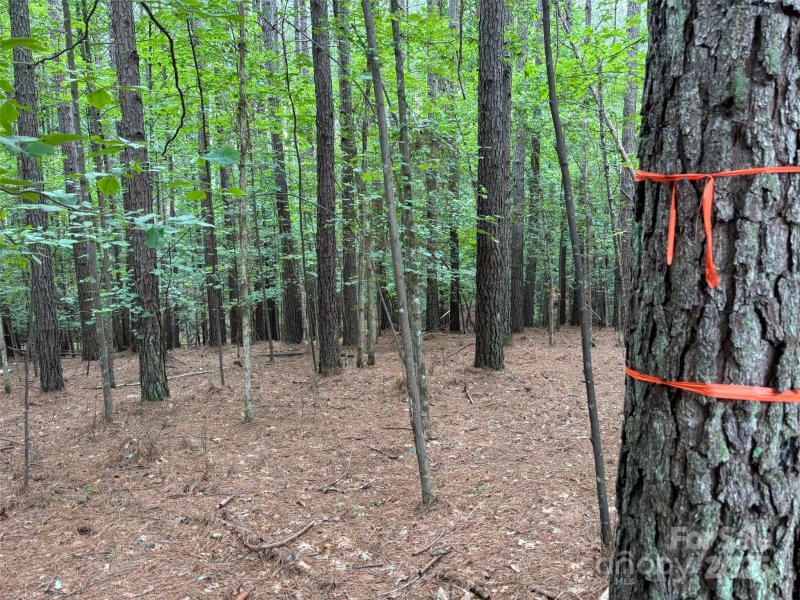 Property image 4 of 2651 E Paradise Harbor Drive in Paradise Harbor, Connelly Springs, NC 28612