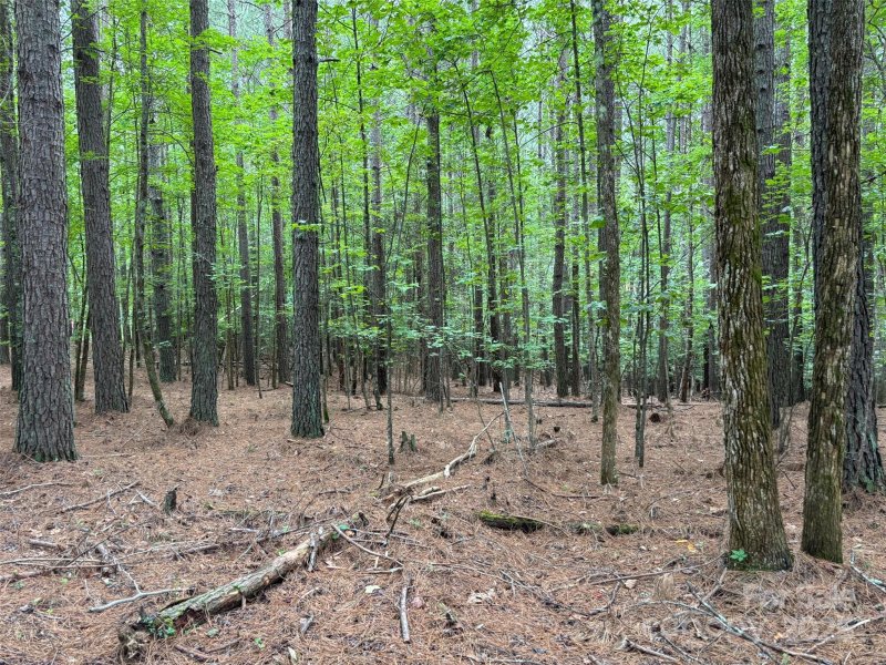 Property image 5 of 2651 E Paradise Harbor Drive in Paradise Harbor, Connelly Springs, NC 28612