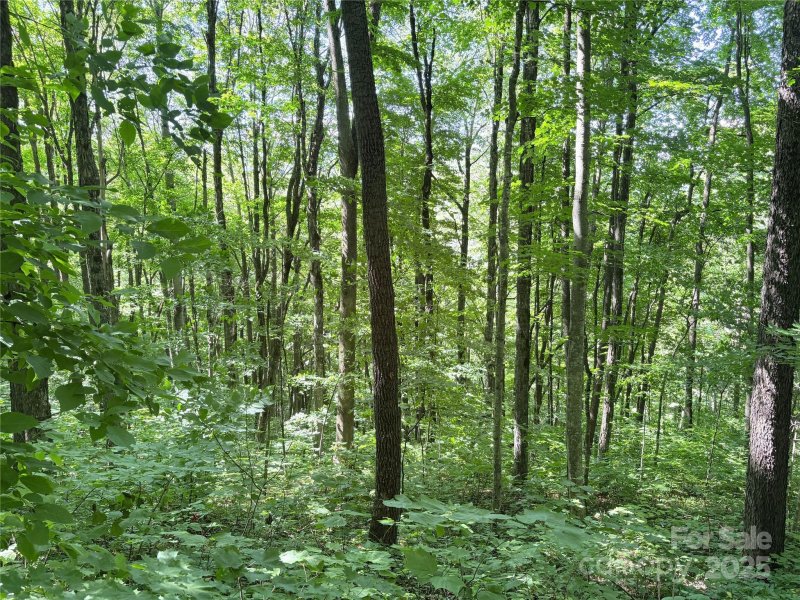 00 Slippery Rock Road