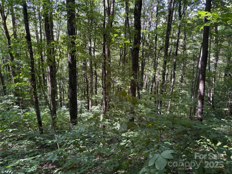 Property image 2 of 00 Slippery Rock Road in Cataloochee Ranch Estates, Waynesville, NC 28785