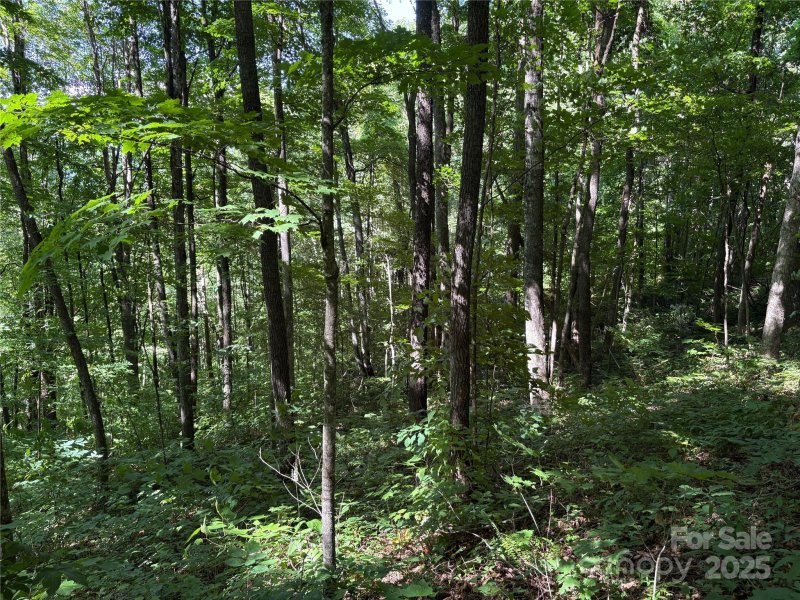 Property image 4 of 00 Slippery Rock Road in Cataloochee Ranch Estates, Waynesville, NC 28785