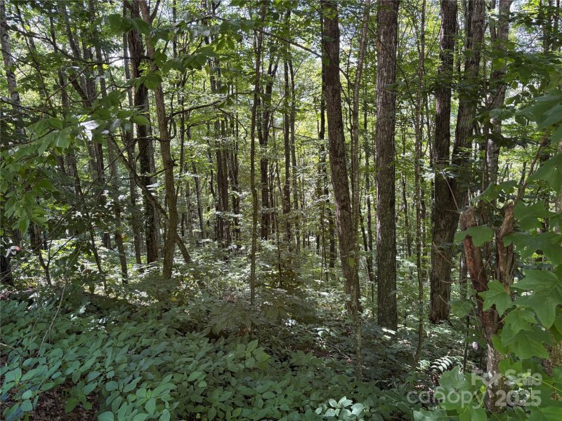 Property image 5 of 00 Slippery Rock Road in Cataloochee Ranch Estates, Waynesville, NC 28785