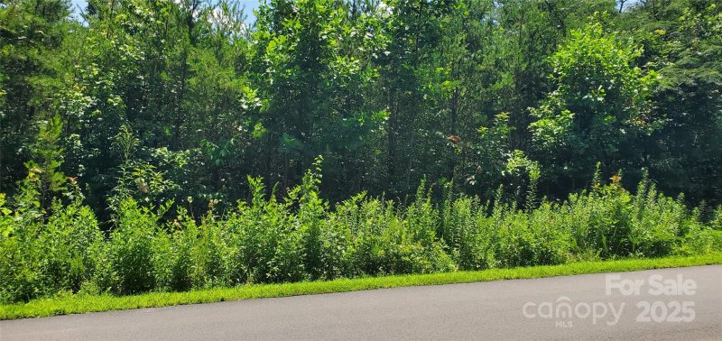 Property image 3 of 168 Valley Springs Drive in Holly Ridge, Olin, NC 28660