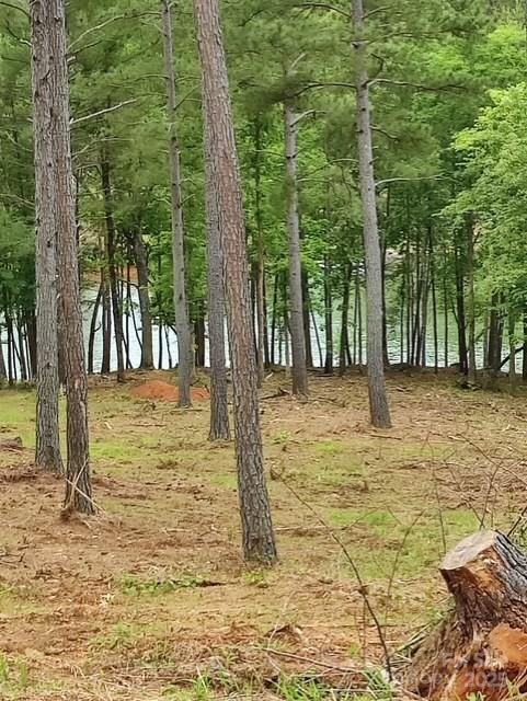 Property image 3 at 2120 Princeton Mountain None, Connelly Springs, NC 28612