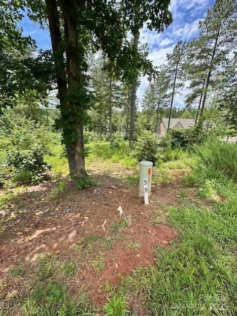 Property image 4 at 2120 Princeton Mountain None, Connelly Springs, NC 28612