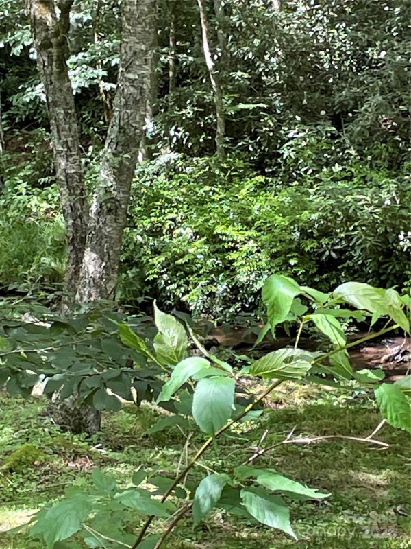 Property image 5 of 686 Mashstomp Road in William Sutton Properties, Maggie Valley, NC 28751