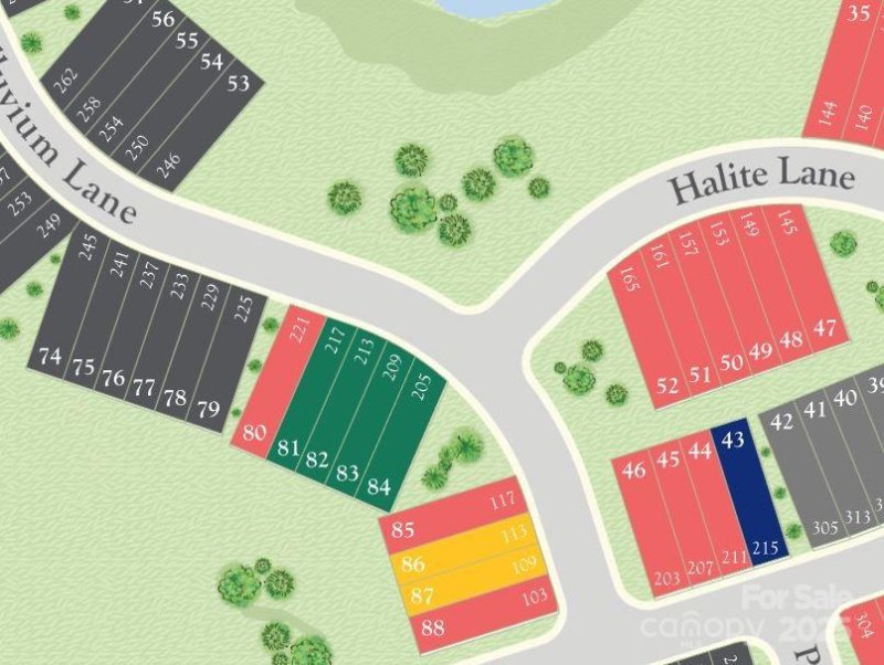 Property image 4 at 213 Alluvium Lane, Waxhaw, NC 28173