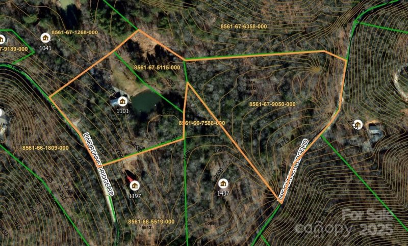 Property image 5 of 1101 Line Runner Ridge Road in Line Runner Ridge, Rosman, NC 28772