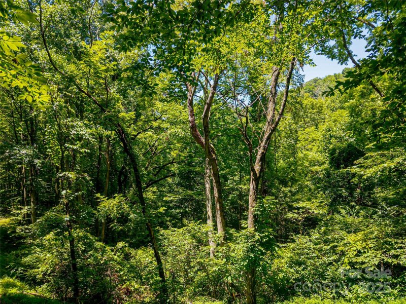 Property image 3 of 99999 Whispering Woods Path in Mountain Park, Mars Hill, NC 28754