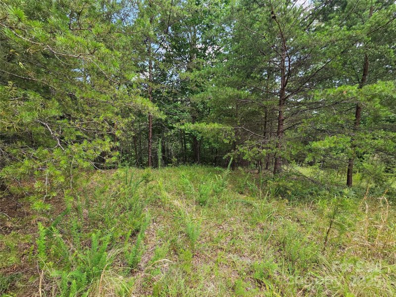 Property image 4 at 0 N Coast Drive, Mill Spring, NC 28756