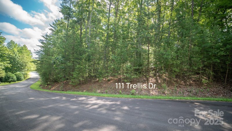 Property image 5 of Lot 111 Trellis Drive in Blackberry Creek, Nebo, NC 28761