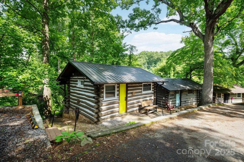 Homeland Park, Asheville Community