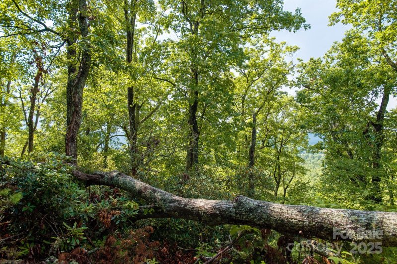 Property image 4 of Lot 1 Masterpiece View Drive in Masterpiece Ridge, Hendersonville, NC 28739