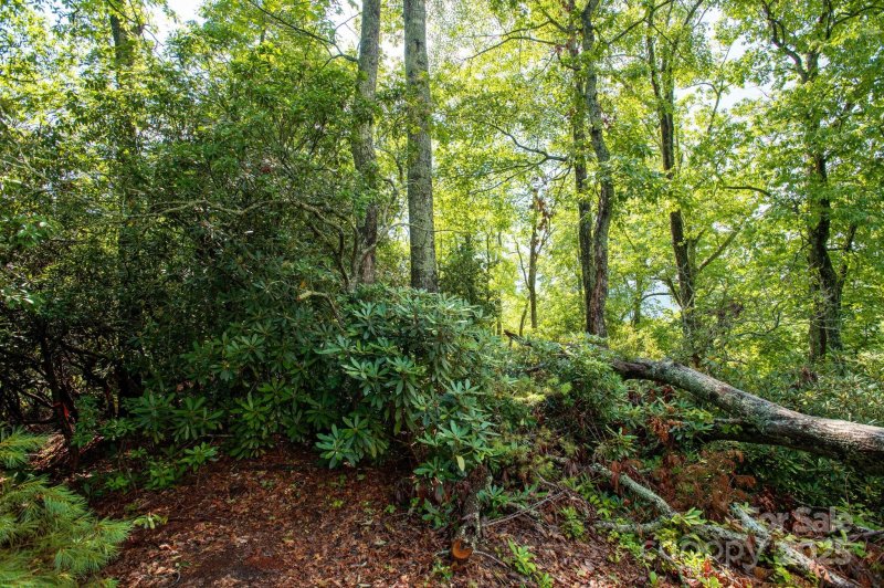 Property image 5 of Lot 1 Masterpiece View Drive in Masterpiece Ridge, Hendersonville, NC 28739