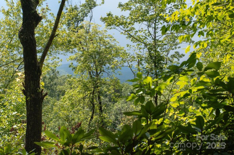 Property image 3 of Lot 2 Masterpiece View Drive in Masterpiece Ridge, Hendersonville, NC 28739