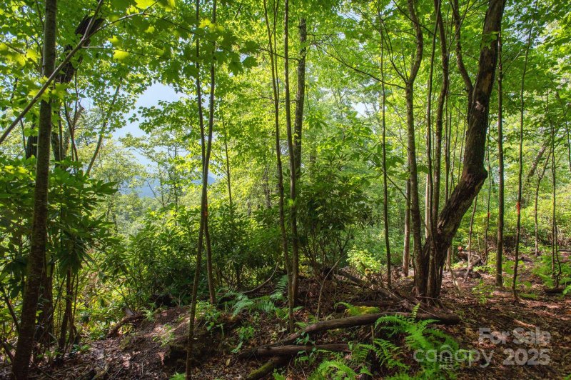 Property image 4 of Lot 2 Masterpiece View Drive in Masterpiece Ridge, Hendersonville, NC 28739