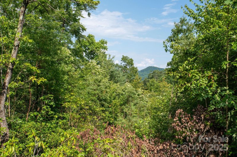 Property image 4 of Lot 6 Masterpiece View Drive in Masterpiece Ridge, Hendersonville, NC 28739