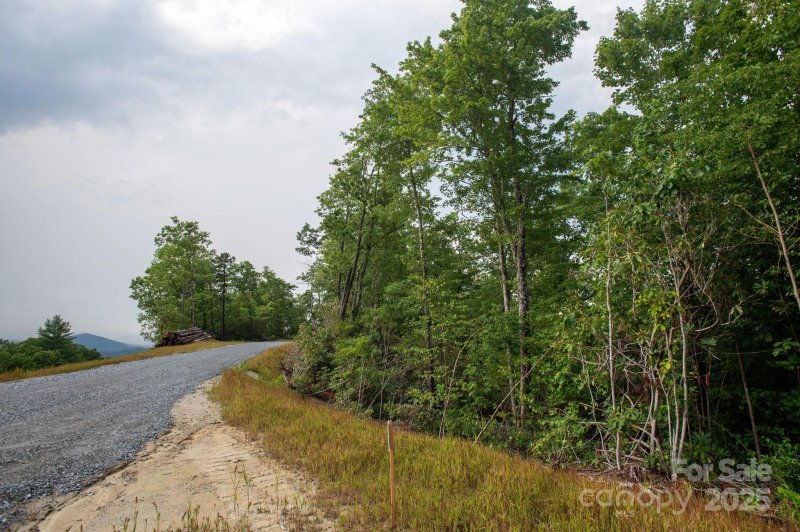 Property image 4 of Lot 8 Masterpiece View Drive in Masterpiece Ridge, Hendersonville, NC 28739