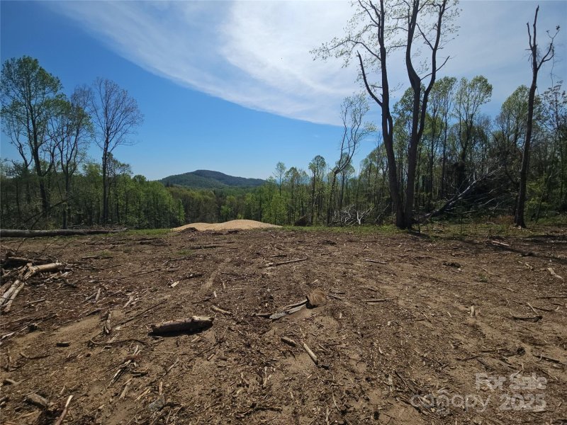 620 Dancing Bear Drive