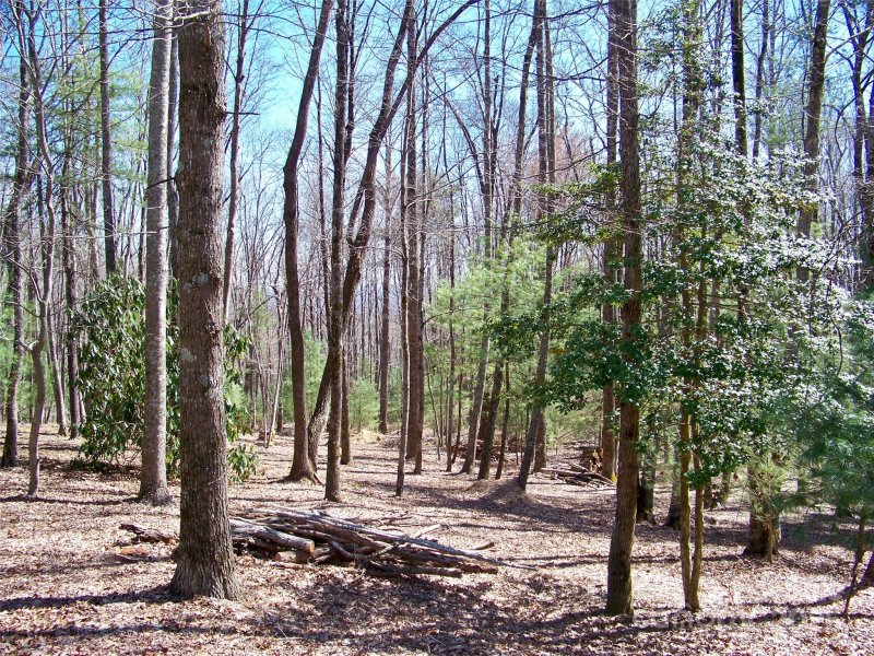 Property image 2 of 125 Thunder Mountain Road in Grand Highlands at Bearwallow, Hendersonville, NC 28792