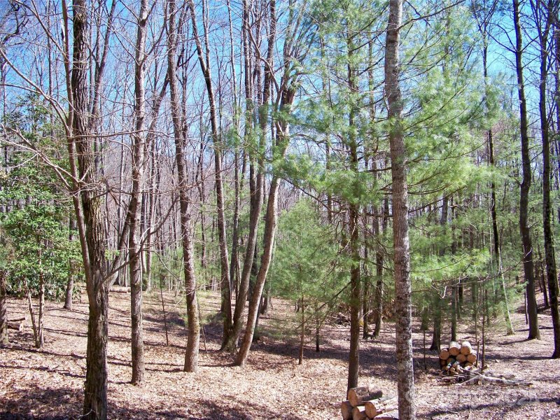 Property image 3 of 125 Thunder Mountain Road in Grand Highlands at Bearwallow, Hendersonville, NC 28792