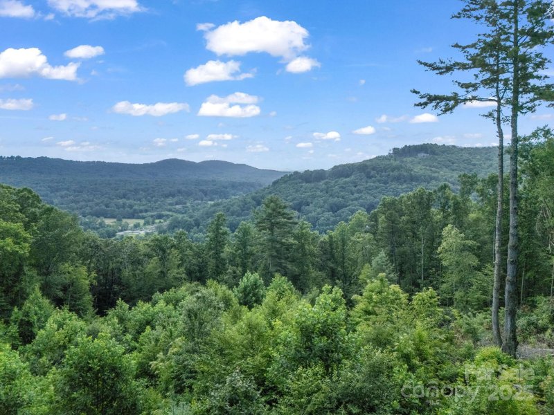 Property image 2 of Tbd Davenport Hills Road in Hunters Glen, Hendersonville, NC 28739