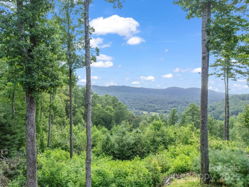 Property image 3 of Tbd Davenport Hills Road in Hunters Glen, Hendersonville, NC 28739