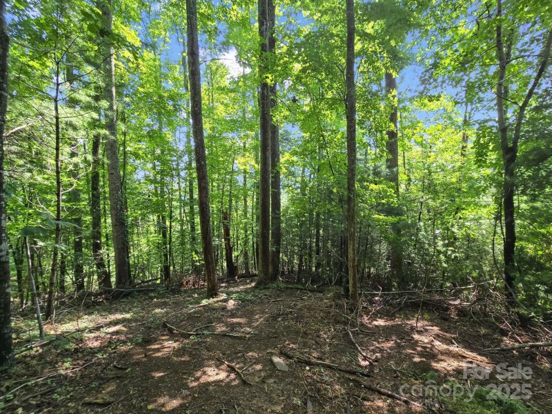 Property image 4 of Tbd Davenport Hills Road in Hunters Glen, Hendersonville, NC 28739