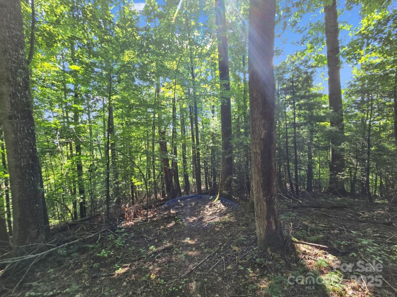 Property image 5 of Tbd Davenport Hills Road in Hunters Glen, Hendersonville, NC 28739