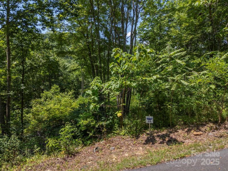 Property image 5 of 0 Labras Drive in Great Sky, Union Mills, NC 28167