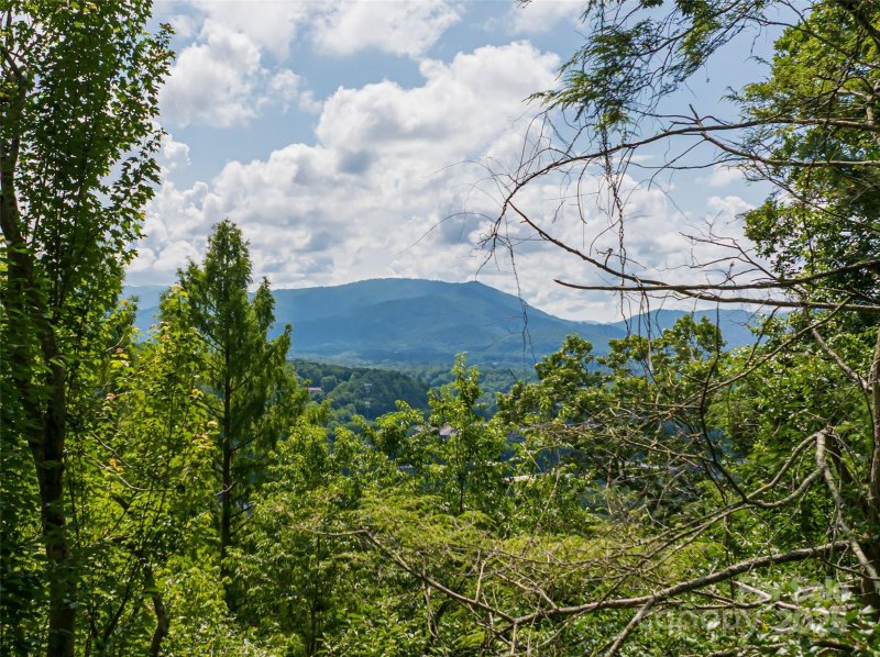 Property image 5 of 3 N Delano Road in Swiss Chalets, Asheville, NC 28805