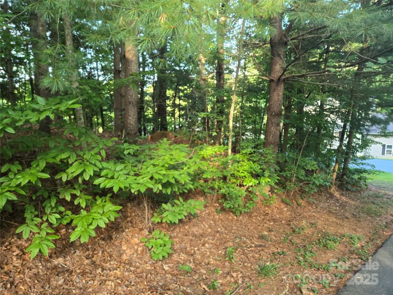 Property image 3 at Lot 42 Shadecrest Lane, Mills River, NC 28759