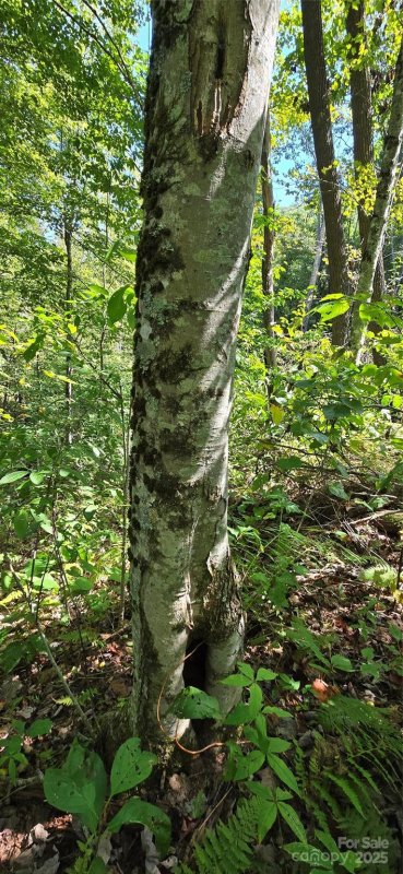 Property image 2 at 108 Tenderfoot Trail, Maggie Valley, NC 28751