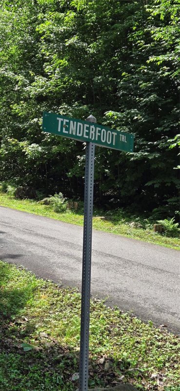 Property image 5 at 108 Tenderfoot Trail, Maggie Valley, NC 28751