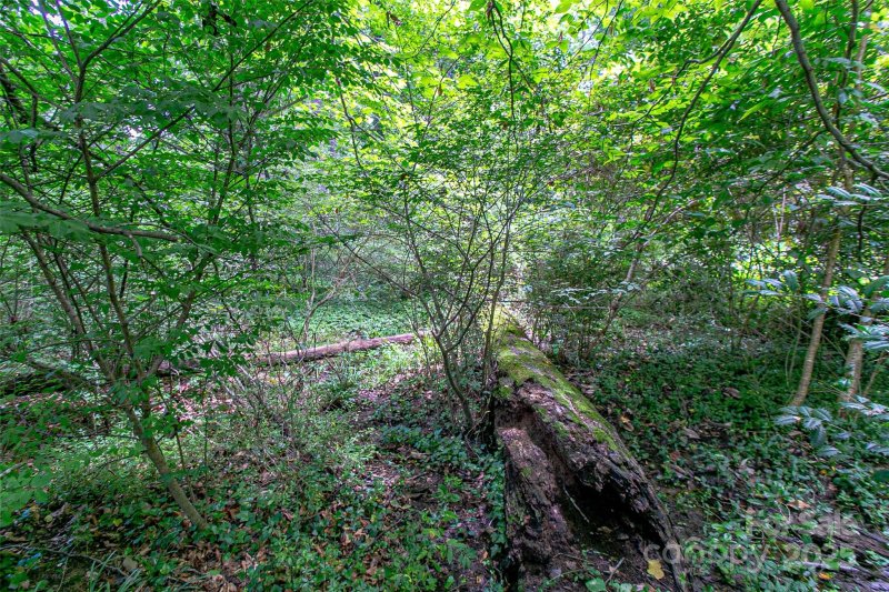 Property image 3 of Tbd Grove Street in Sylvania, Brevard, NC 28712