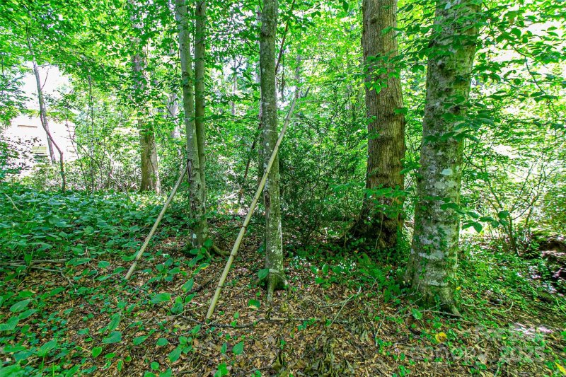 Property image 4 of Tbd Grove Street in Sylvania, Brevard, NC 28712