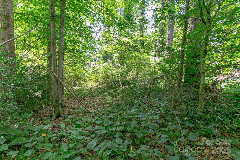 Property image 5 of Tbd Grove Street in Sylvania, Brevard, NC 28712